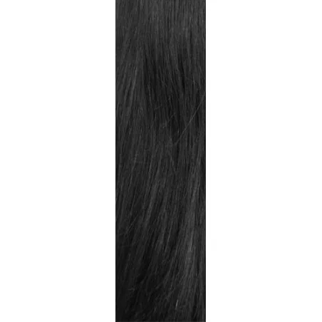 Echthaartresse Gisela Mayer HairToGo indian premium remy 55 cm lang - Glatt