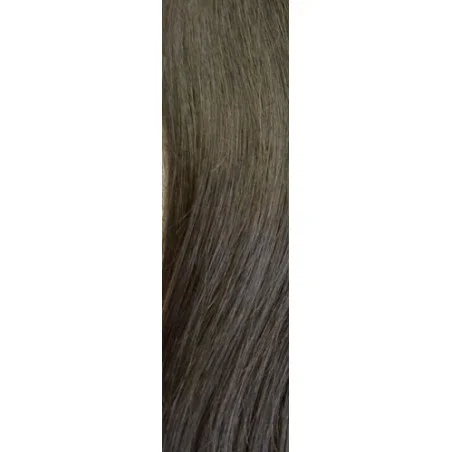 Echthaartresse Gisela Mayer HairToGo indian premium remy 55 cm lang - Glatt