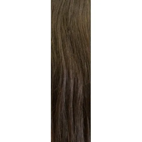 Φυσική Τρέσα Gisela Mayer HairToGo Indian Premium Remy 55 cm - 'Iσια