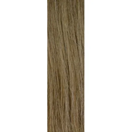 Φυσική Τρέσα Gisela Mayer HairToGo Indian Premium Remy 55 cm - 'Iσια