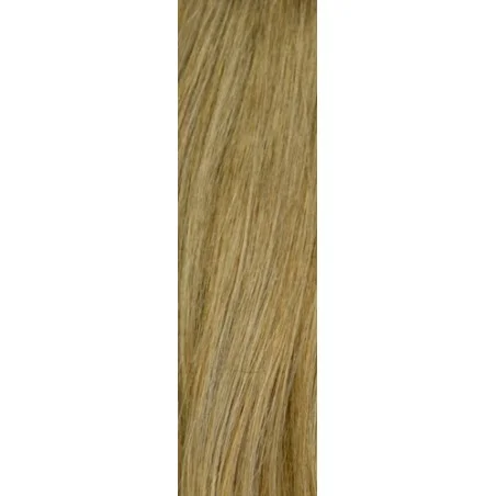 Φυσική Τρέσα Gisela Mayer HairToGo Indian Premium Remy 55 cm - 'Iσια
