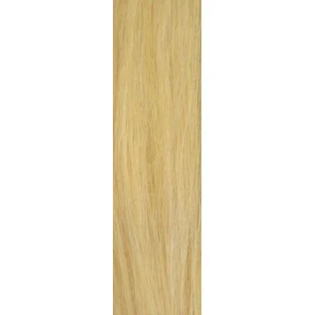 Echthaartresse Gisela Mayer HairToGo indian premium remy 55 cm lang - Glatt