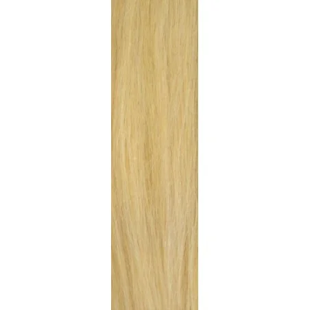 Echthaartresse Gisela Mayer HairToGo indian premium remy 55 cm lang - Glatt